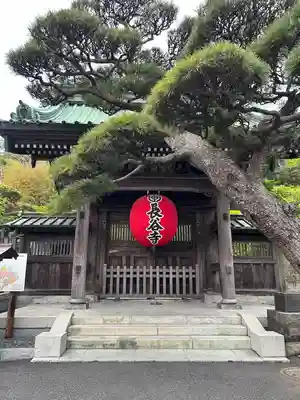 長谷寺(神奈川県)