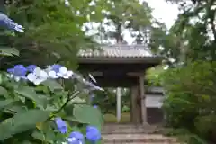 龍潭寺の山門