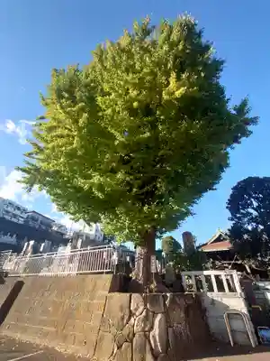 本覺寺(神奈川県)