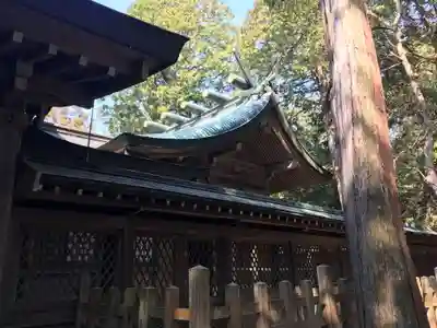 大麻比古神社の本殿・本堂