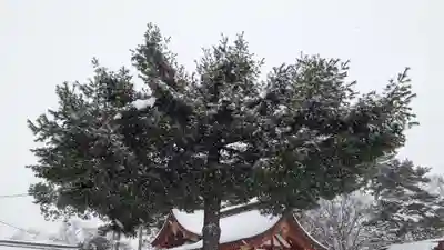 北鎮安全神社の自然