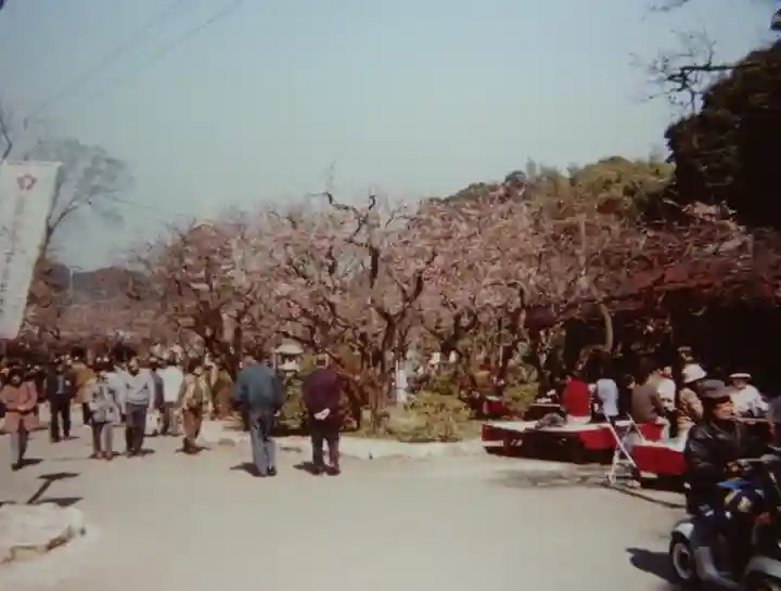 太宰府天満宮(福岡県)