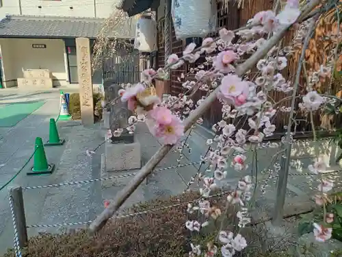 天神社の自然