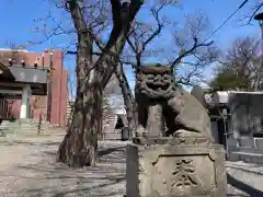 手稲神社の狛犬