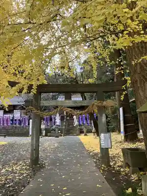 下野 星宮神社(栃木県)