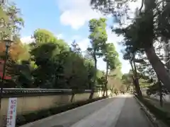 相国寺（相国承天禅寺）(京都府)