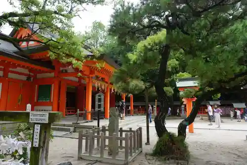 住吉神社の本殿