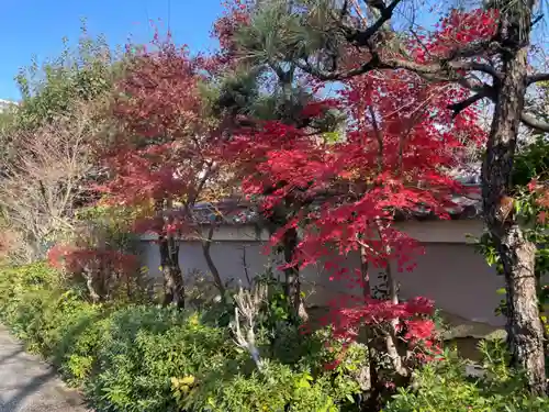 円常院(圓常院) enjoyntemple(京都府)