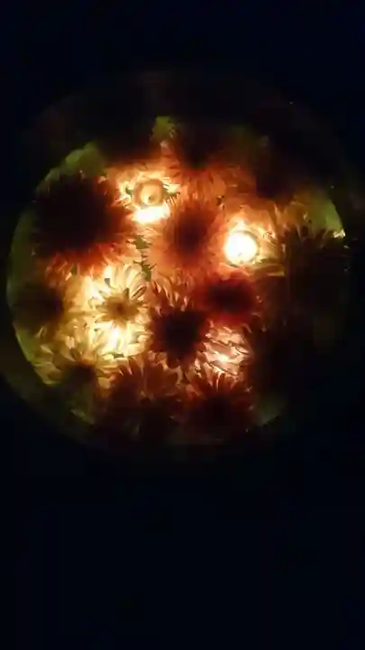 上野東照宮(東京都)