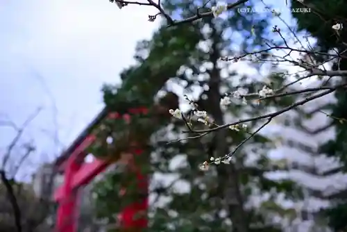 亀戸天神社(東京都)