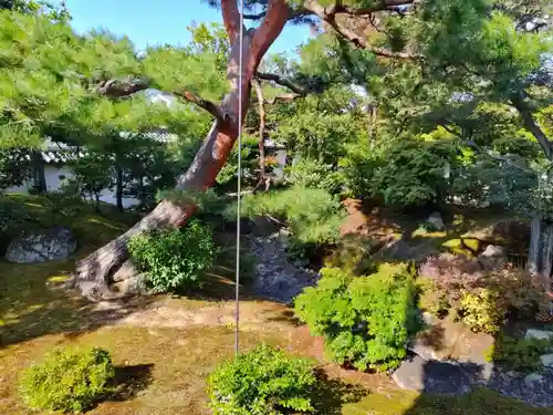 相国寺（相国承天禅寺）(京都府)