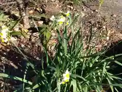 大洞院の自然