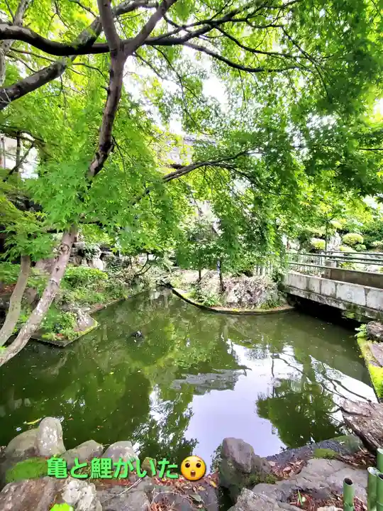 清宝院(東京都)