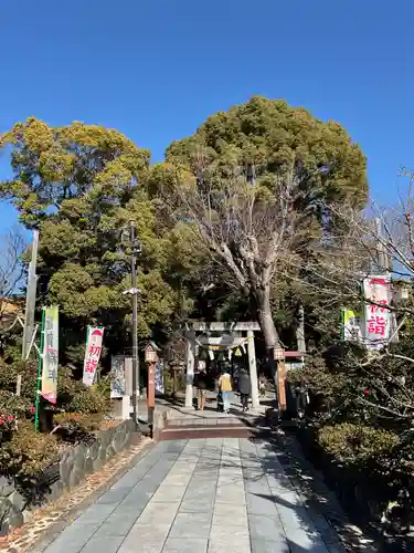 伊奴神社の自然