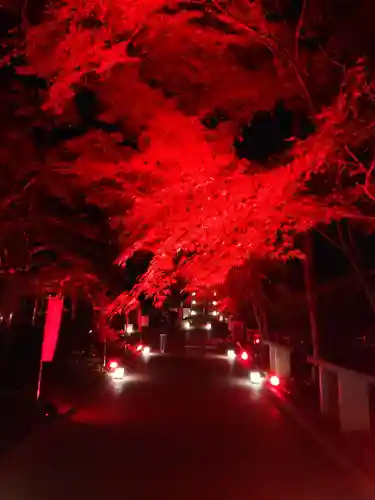 目の霊山　油山寺の景色