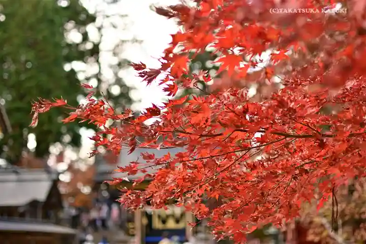 武蔵御嶽神社の自然