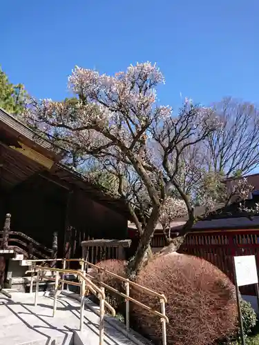 出雲大社相模分祠の庭園