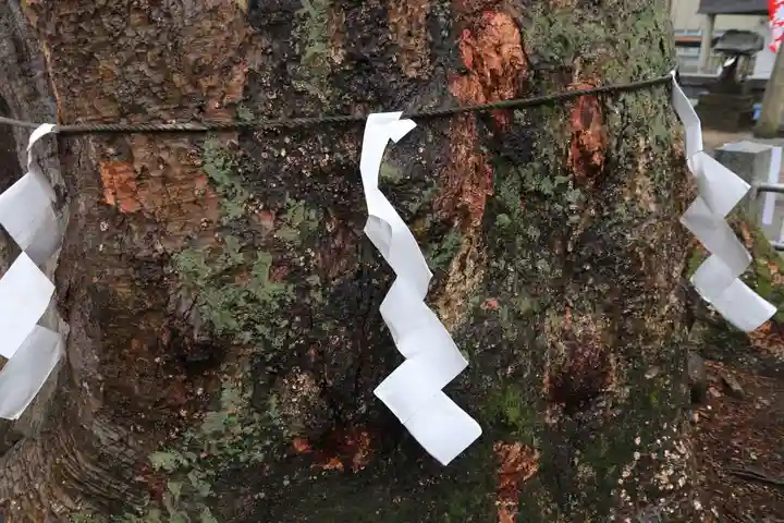 阿邪訶根神社の自然