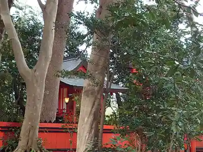 相州春日神社の本殿・本堂