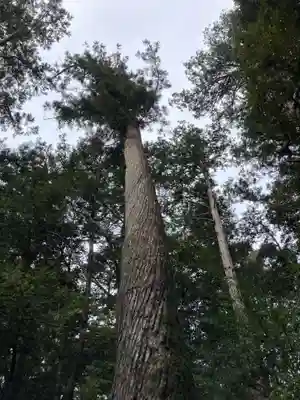 瀧原宮(皇大神宮別宮)(三重県)