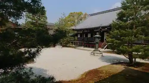 大覚寺の庭園