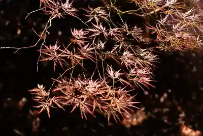 石見国一宮　物部神社(島根県)