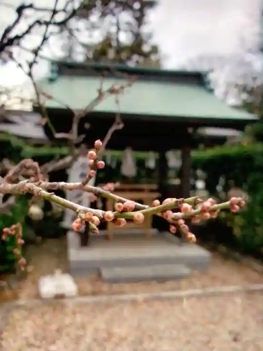 布多天神社(東京都)