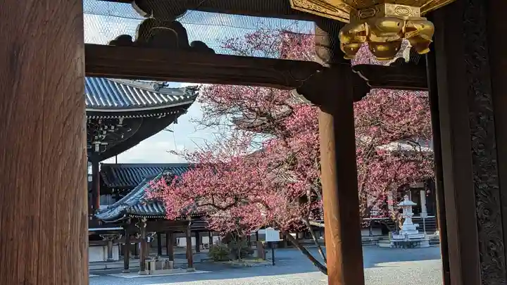 興正寺(京都府)