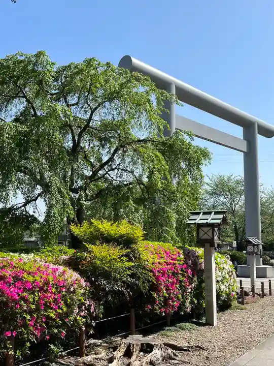 櫻木神社(千葉県)