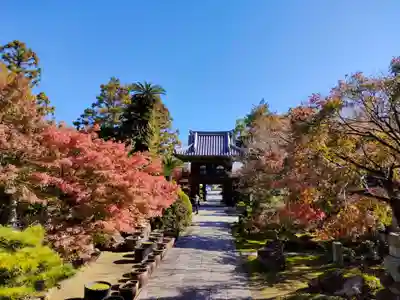 伊勢の国 四天王寺の山門・神門