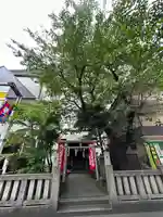 さくら稲荷(東京都)