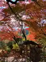 宝厳院(京都府)