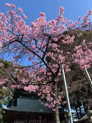 六所神社(埼玉県)