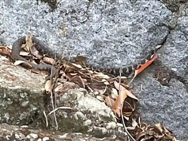 須佐神社・大祖大神社(福岡県)