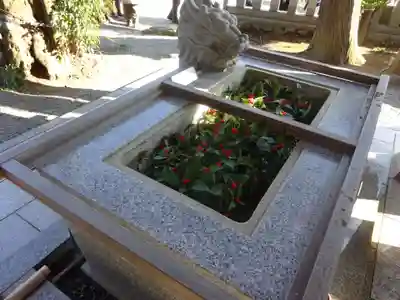 比々多神社(神奈川県)