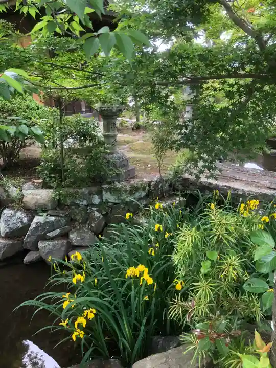 宝珠院の{uncategorized: "未分類", other: "その他", undefined: "問題あり", building: "その他建物", grave: "お墓", sacred_gate: "鳥居", guardian: "狛犬", statue: "像", buddha: "仏像", history: "歴史", nature: "自然", garden: "庭園", animal: "動物", pagoda: "塔", temizu: "手水舎", mountain_gate: "山門・神門", sanctuary: "本殿・本堂", subordinate: "末社・摂社", art: "芸術", scenery: "景色", jizo: "地蔵", ema: "絵馬", goshuin: "御朱印", omikuji: "おみくじ", items: "授与品その他", amulet: "お守り", goshuincho: "御朱印帳", eats: "食事", festival: "お祭り", votive_dance: "神楽", shichigosan: "七五三参", wedding: "結婚式", experience: "体験その他", initially: "初詣", around: "周辺", anti_infection: "感染症対策"}