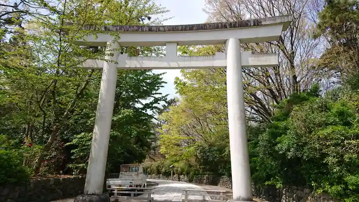 新潟縣護國神社の鳥居