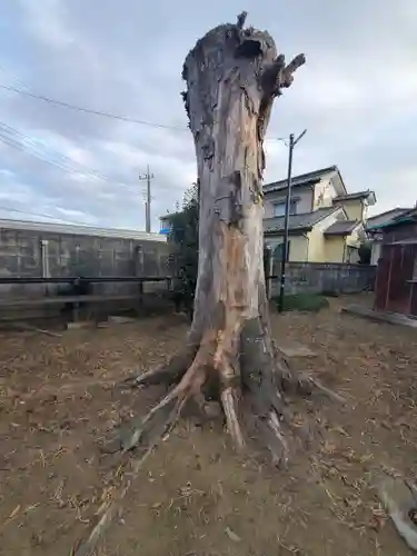 稲荷神社（瑞穂野町）(栃木県)