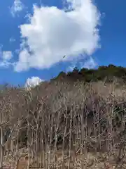 小宅神社の自然