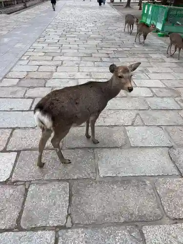 東大寺戒壇院戒壇堂(奈良県)