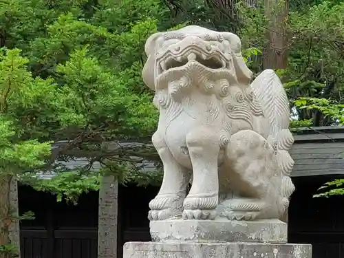 上川神社の狛犬