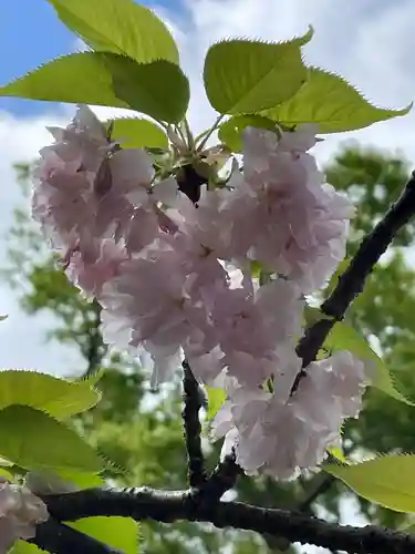 兵主神社(兵庫県)
