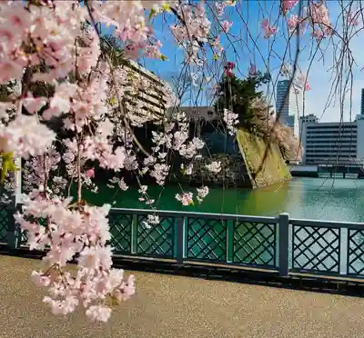 福井神社(福井県)