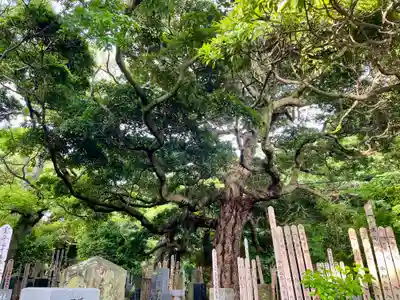 長生院(神奈川県)