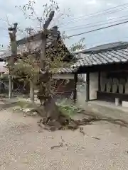 妙智寺（妙智庵）の庭園