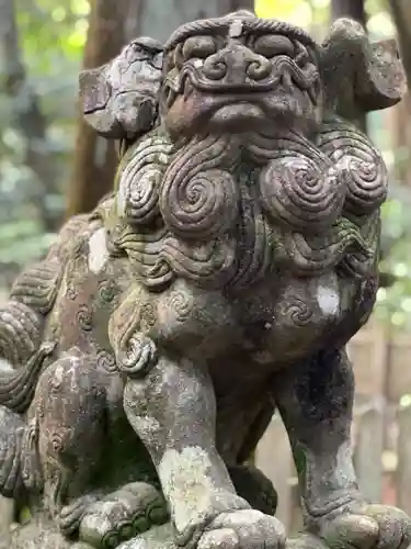 椿大神社の狛犬