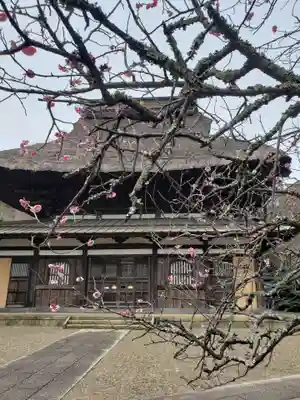 長勝寺の本殿・本堂