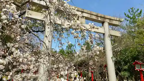 市原稲荷神社の鳥居