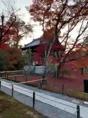 鹿苑寺（金閣寺）(京都府)