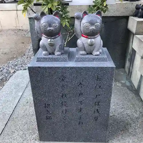 今戸神社の狛犬